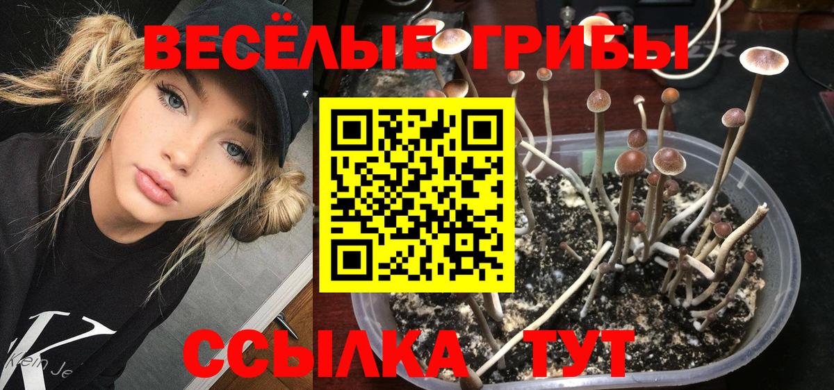 Галлюциногенные грибы мухоморы  Вход с VPN  Дзержинск 